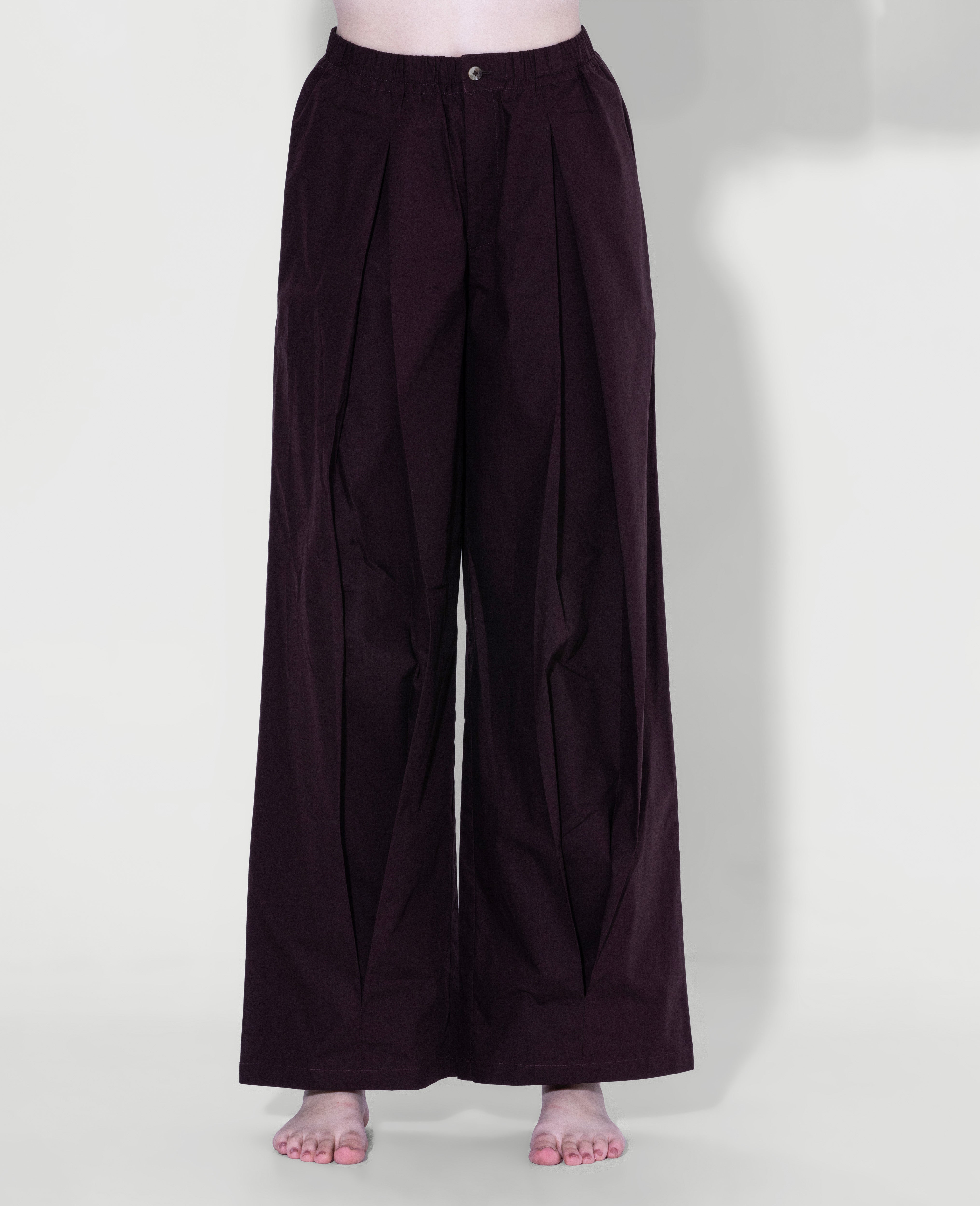 Wide Pleat Pants