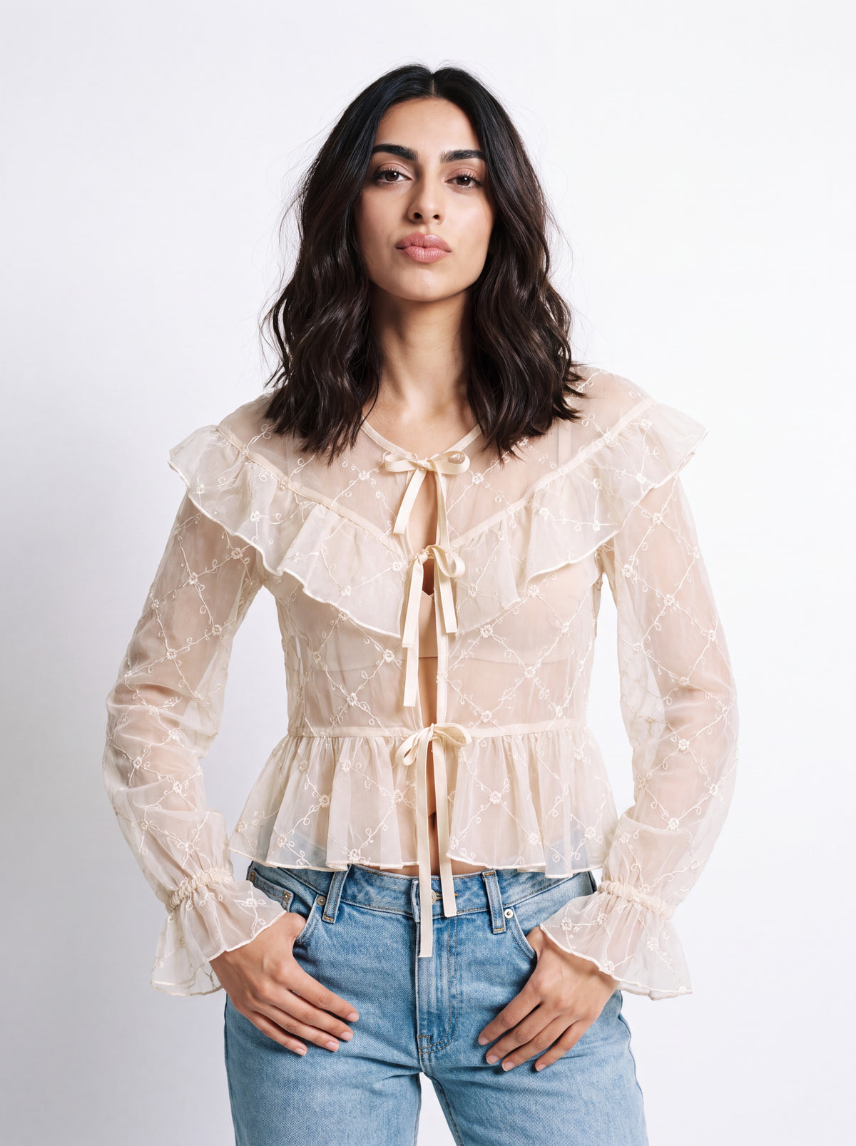 Rosette Embroidered Sheer Blouse