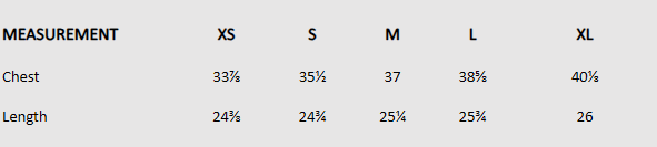 Size chart (inches) for Embellished Sheer Top