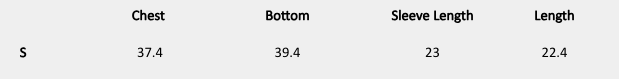 Size chart (inches) for Lumiere Velvet Shirt