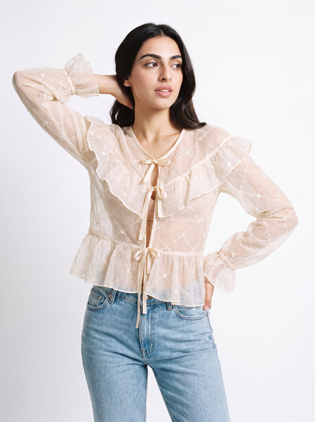 Rosette Embroidered Sheer Blouse